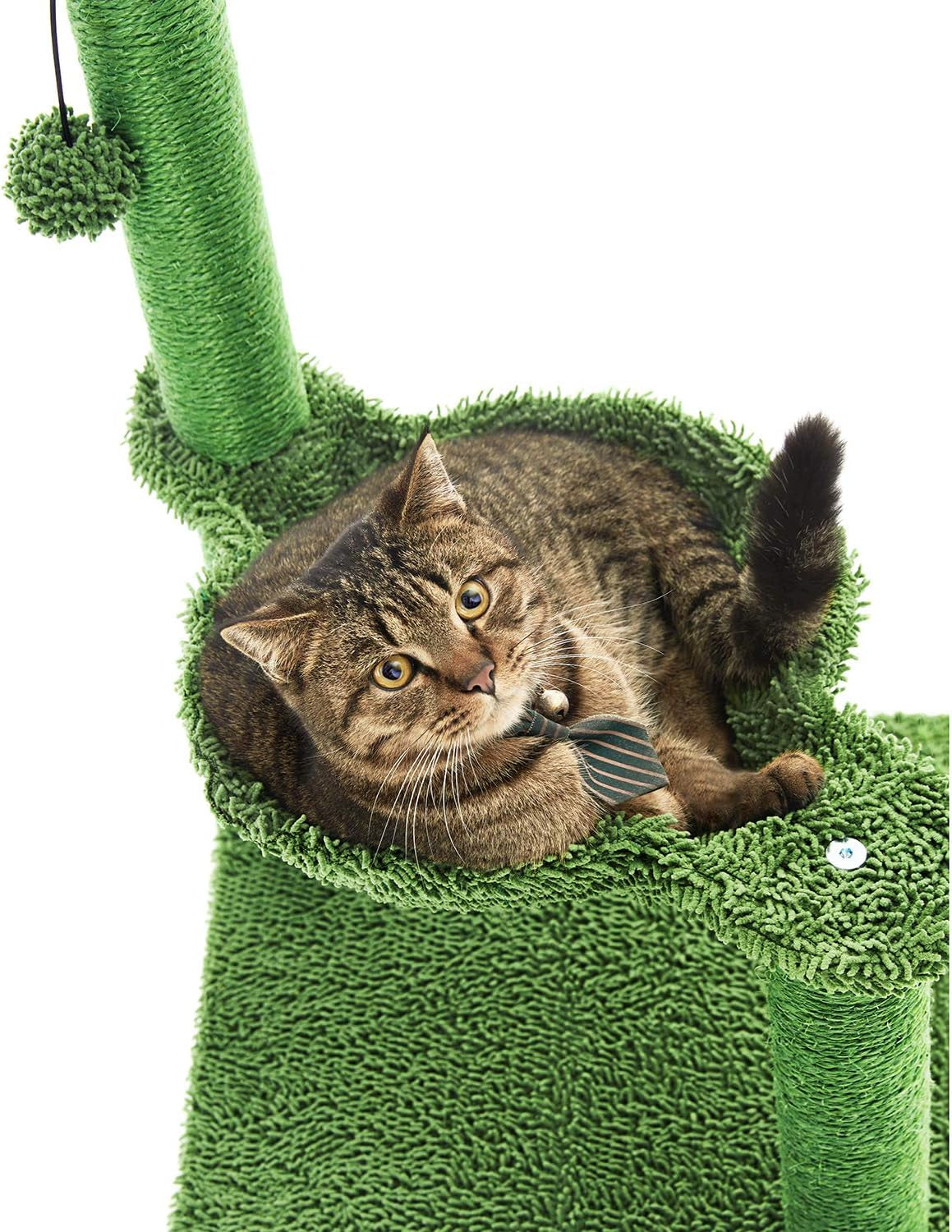 Cozy 31" Green Cactus Cat Tree with Hammock & Durable Sisal Scratching Post for Small Cats