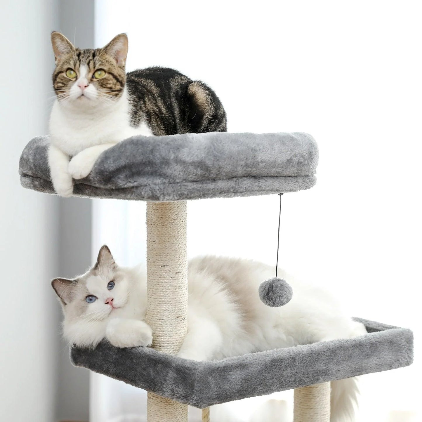 Luxury Cat Tree Entertainment Tower with Stairs