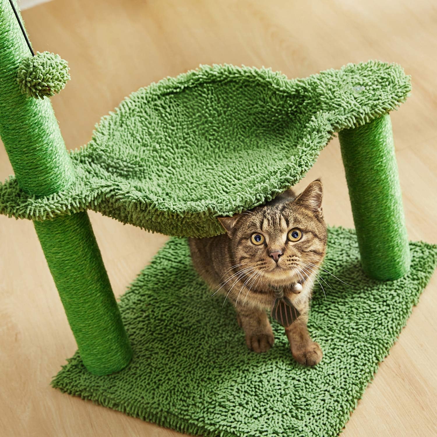 Cozy 31" Green Cactus Cat Tree with Hammock & Durable Sisal Scratching Post for Small Cats