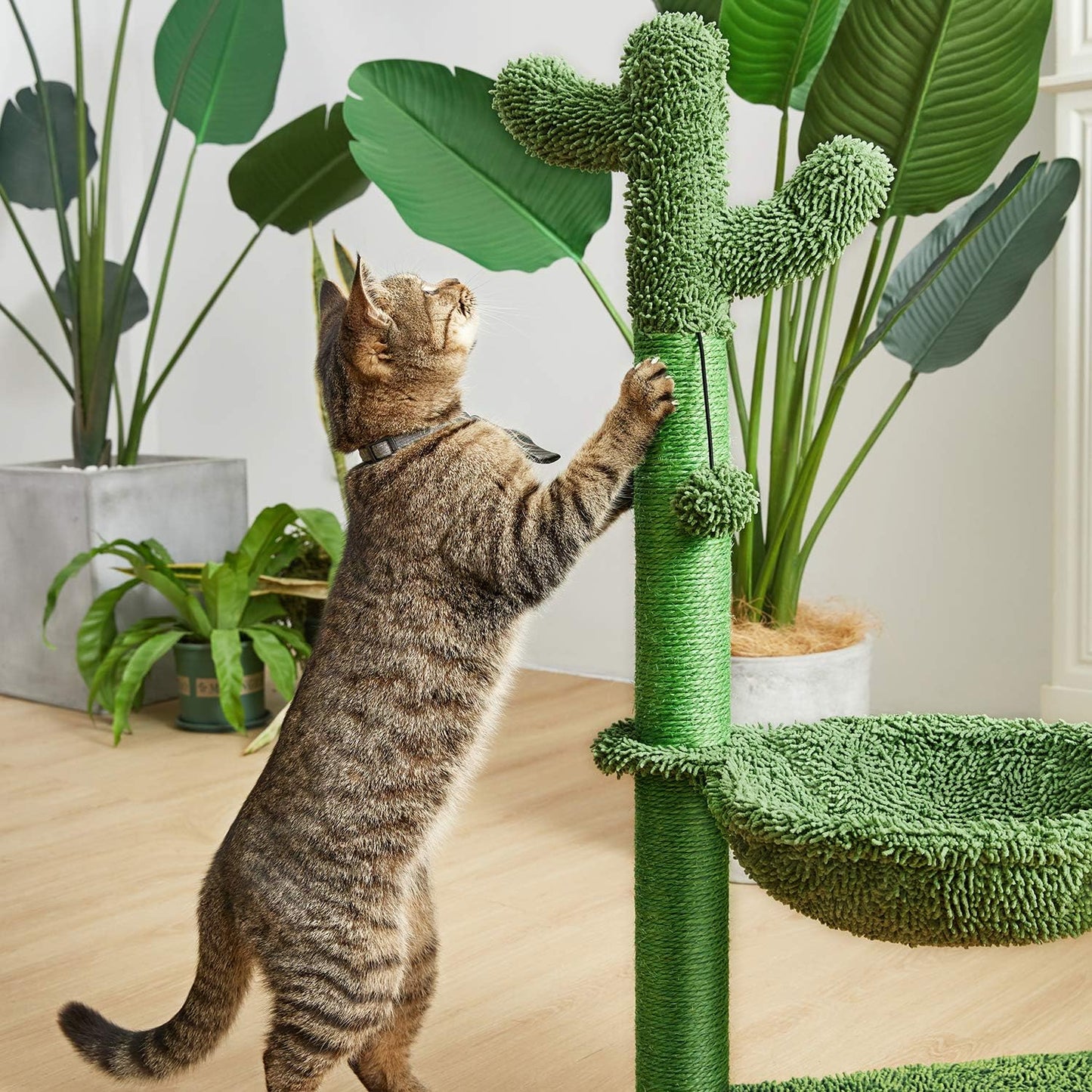 Cozy 31" Green Cactus Cat Tree with Hammock & Durable Sisal Scratching Post for Small Cats