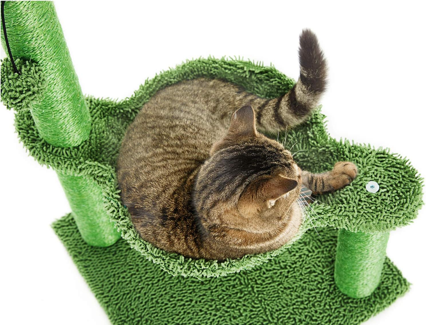 Cozy 31" Green Cactus Cat Tree with Hammock & Durable Sisal Scratching Post for Small Cats