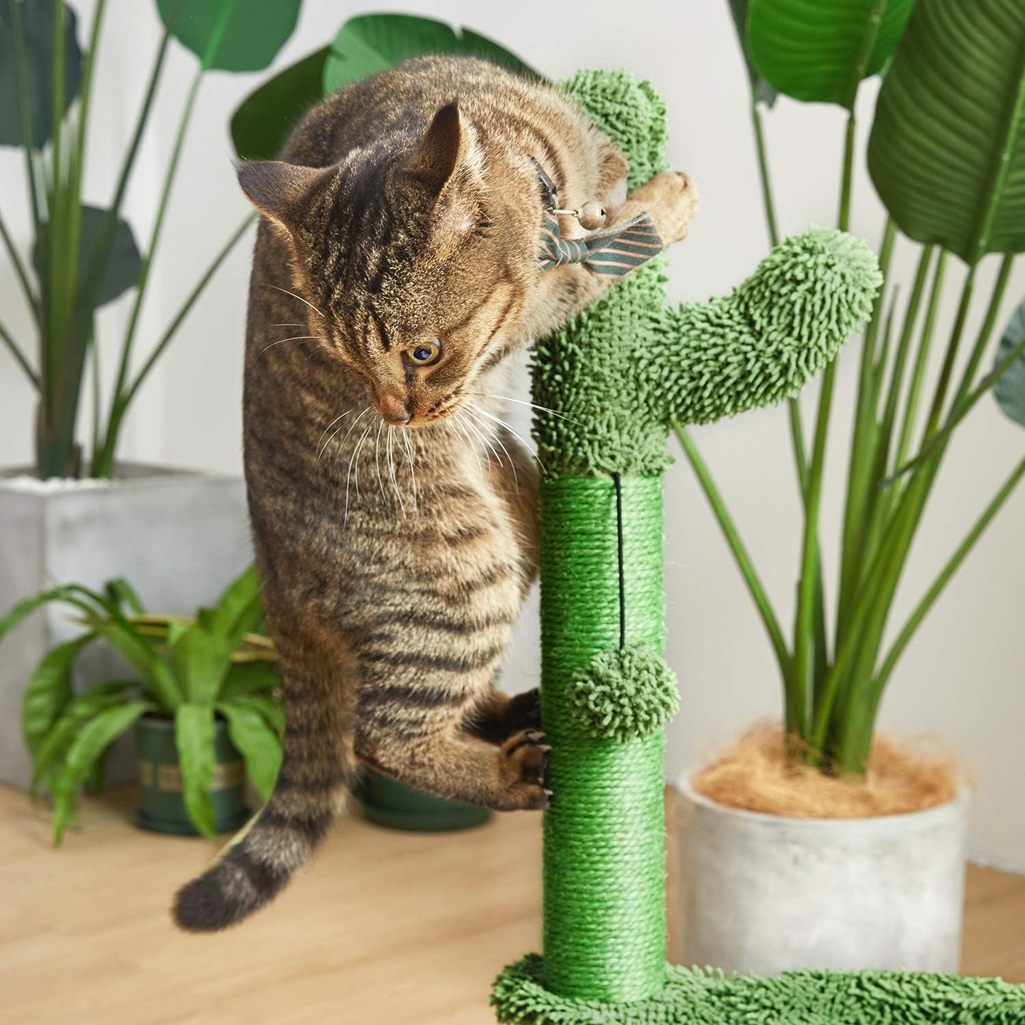 Deluxe 31" Cactus Cat Tree with Cozy Hammock & Scratch-Resistant Sisal for Small Cats - Stylish Brown Design